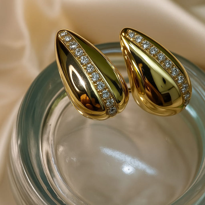 Classy Earring